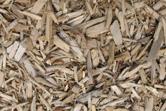 biomass boilers Shannochill